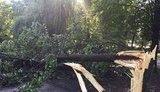 Ураган у Кривому Розі повалив понад 150 дерев і пошкодив дахи. ВІДЕО+ФОТОрепортаж
