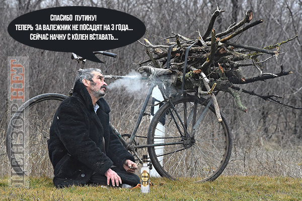 Жизнь налаживается...