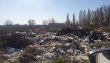 Госэкоинспекция насчитала 45 миллионов ущерба в сфере обращения с отходами с начала года
