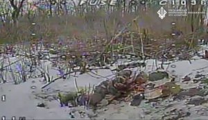 Спецпризначенці "Спартан" спільно з суміжними підрозділами відбили штурм ворога на Покровському напрямку. ВIДЕО