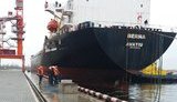 Компания владельцев сети Novus открыла зерновой терминал в порту "Ольвия"