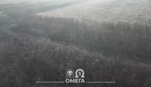 Thousands of kilometres of fibre-optic cables strewn across frontline terrain: Omega fighters’ footage. VIDEO