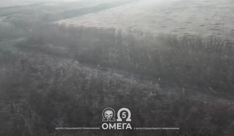 Thousands of kilometres of fibre-optic cables strewn across frontline terrain: Omega fighters’ footage. VIDEO