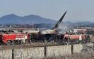 У Південній Кореї розбився пасажирський літак