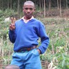 Bush Obama