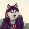 Влад Мельник #287337