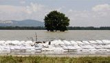 Потоп в Европе: в Германии взорвут корабли, а в Хорватии Дунай достиг рекордного максимума. ФОТО+ВИДЕО