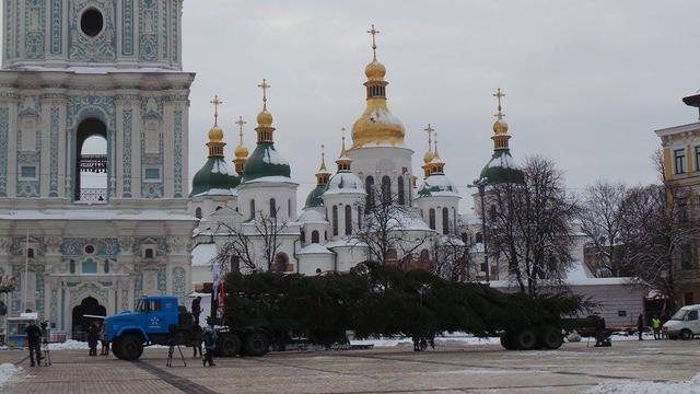 В центр Киева привезли главную новогоднюю елку Украины 02