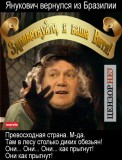 Отчет о поездке в Бразилию