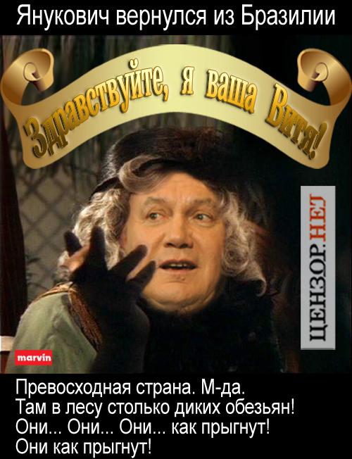 Отчет о поездке в Бразилию
