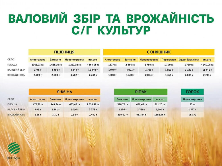 В Україні два фронти: Сергій Касьянов розповів про стратегію незламності для бізнесу 09