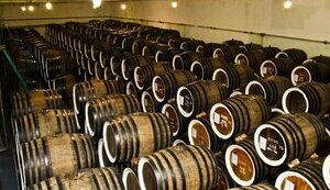 Occupants stole equipment, alcohol stocks and vintage cognac from Tavria plant in Nova Kakhovka
