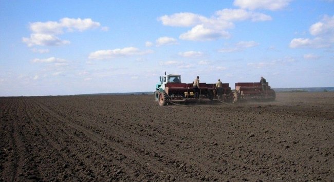 Что делать владельцу земли со старым государственным актом на землю 01