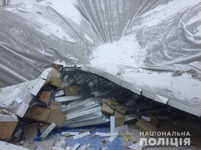 Полиция задержала причастных к обвалу крыши спортарены в Вишневом 02
