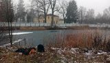 Тіла студентів 18 та 20 років знайшли у водоймі в Житомирі. ВІДЕО+ФОТОрепортаж