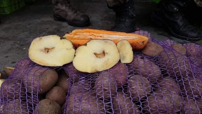 Нардепка опублікувала шокуюче відео: військових курсантів годують тарганами у борщі від монополіста закупівель Міноборони 09