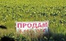 земля,рынок,поля,земли,сельское,хозяйство,сх,с/х