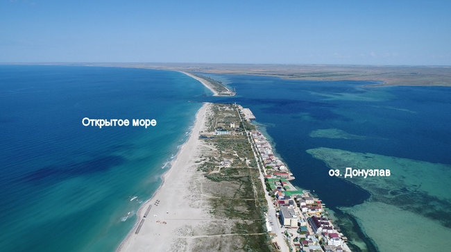 Почему айтишник бросил профессию и начал выращивать устрицы в Украине 03