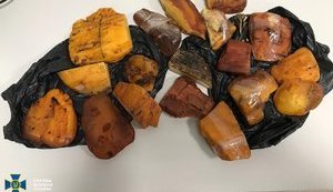 CБУ блокировала контрабанду уникального янтаря в одну из арабских стран. ФОТО