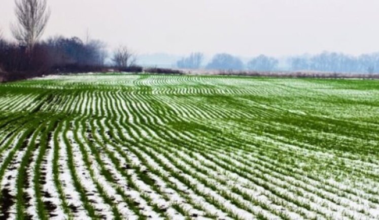 Відключення світла та дефіцит кадрів: У Мінагрополітики назвали головні проблеми аграріїв