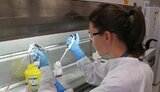Бояться новых мутаций коронавируса не стоит, - академик Комиссаренко