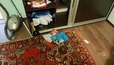 обыск