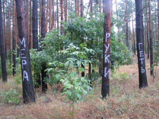 Цензор.НЕТ Изображение