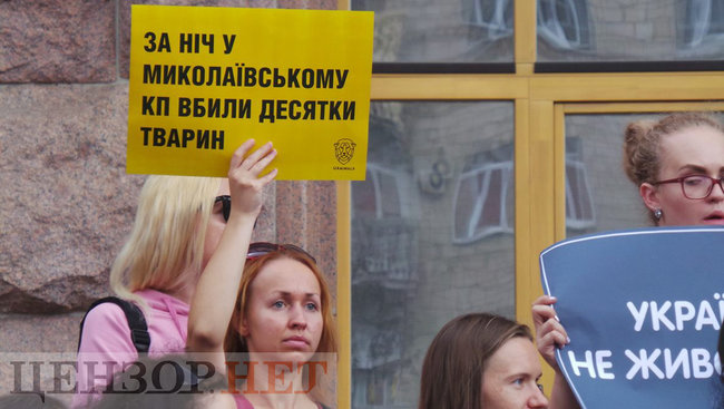 Ми втомилися від безкарності збоченців: Учасники Всеукраїнської акції Україна - не шкуродерня мітингували під КМДА 01