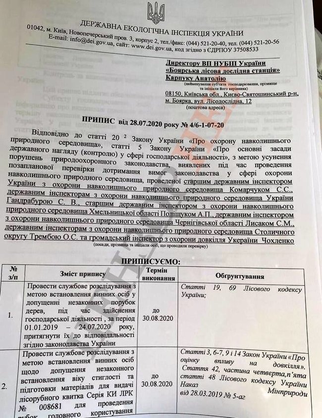 Вирубка 1363 дерев під Києвом завдала збитків на суму понад 11 млн, відкрито кримінальне провадження 04