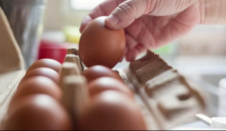 Case of "eggs for 17 hryvnias": SAPO and NABU exposed scheme of embezzlement of over UAH 700 million in Ministry of Defence