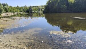 У Сеймі знову погіршилася вода