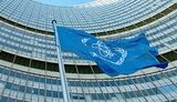Комітет Ради звернувся до МАГАТЕ
