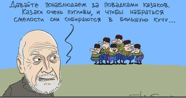В мире жЫвотных