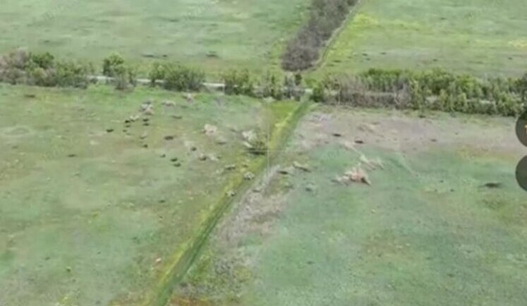 Two occupiers who ran out of forest strip are hit by cluster munitions. VIDEO