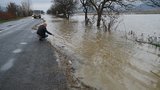москаль закарпатье паводок