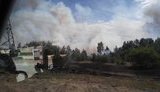 Близько 10 га лісу та сухої трави горить у Зоні відчуження, - ДСНС. ФОТО