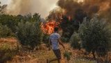 Дим від лісових пожеж сприяє поширенню COVID-19, - дослідження