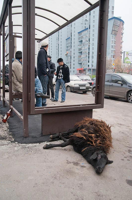 Цензор.НЕТ Изображение