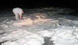 Ледниковый период во Львове - выпало 20 см града. ФОТОрепортаж.
