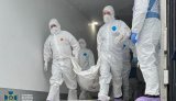 СБУ провела репатріацію: в Україну повернули 528 тіл загиблих військових