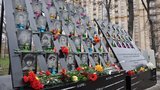 Рассмотрение дела Небесной Сотни затянется как минимум на год, - Ирина Луценко