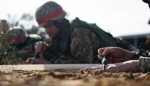 навчання,зсу,британія