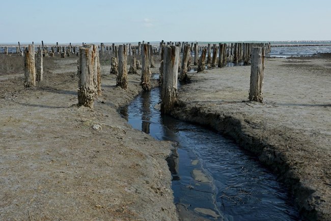 Куяльницкий лиман получил статус курорта государственного значения, - глава Одесской ОГА Степанов 01