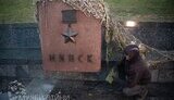 Національний музей історії України у Другій світовій війні