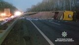 ДТП на трасі Київ-Чоп: фура перекинулася і заблокувала рух в напрямку Житомира, - патрульна поліція. ФОТОрепортаж