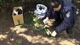 харьков зажигательная