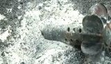 мина