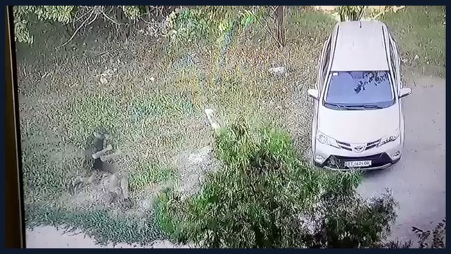 Князев об убийстве Гандзюк: Расследование полицией фактически завершено, получены все доказательства 05 Князев об убийстве Гандзюк: Расследование полицией фактически завершено, получены все доказательства 05