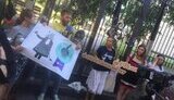 "СудиЧесноАбоСидиДовго": активісти вимагають справедливого покарання для судді Волкової. ФОТОРЕПОРТАЖ