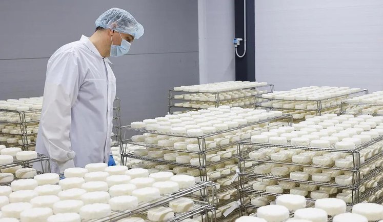 В России впервые за 15 лет упало производство продуктов питания, - Forbes